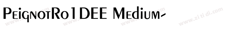 PeignotRo1DEE Medium字体转换